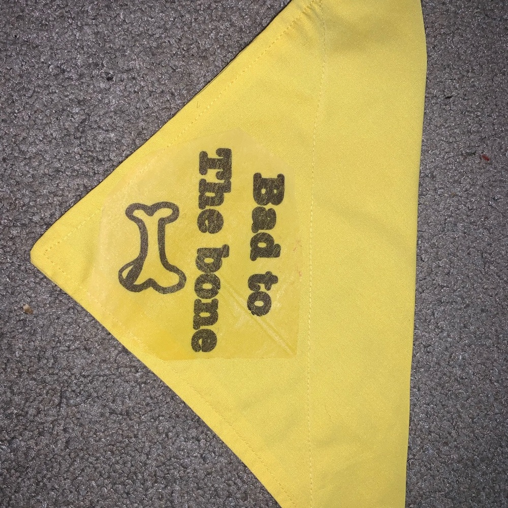 Over the collar bandana